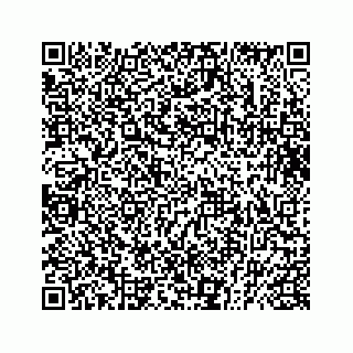 vCard 73832029311