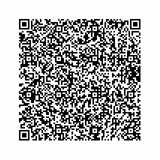 vCard 73832029312