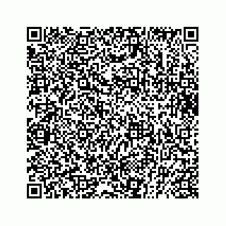 vCard 73832029313