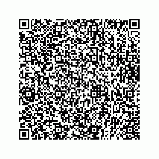 vCard 73832029333