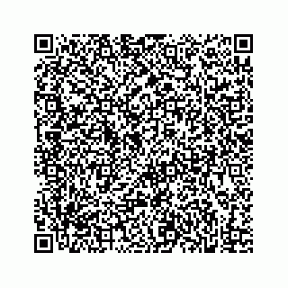 vCard 73832029335
