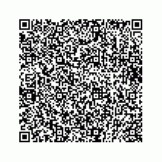 vCard 73832029371