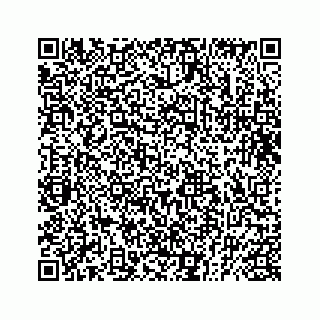 vCard 73832029378