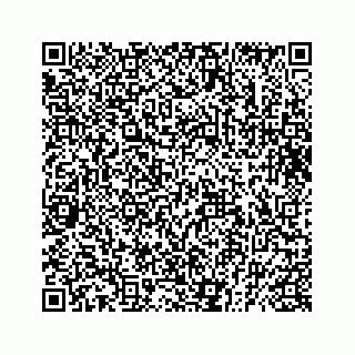 vCard 73832029379