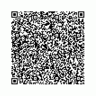 vCard 73832029381
