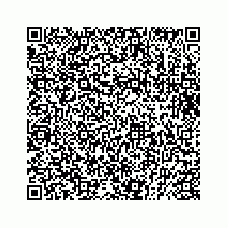 vCard 73832029399
