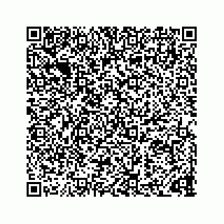 vCard 73832085004