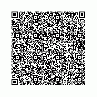 vCard 73832085009
