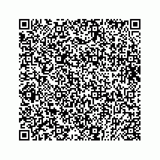 vCard 73832085198