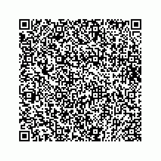 vCard 73832085199