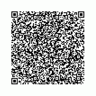 vCard 73832085202