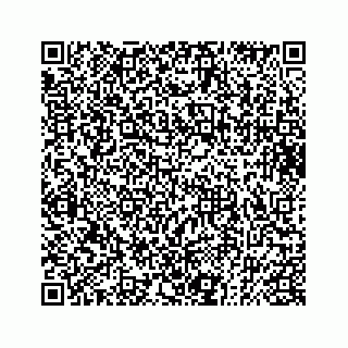 vCard 73832085213