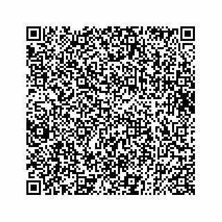 vCard 73832085221