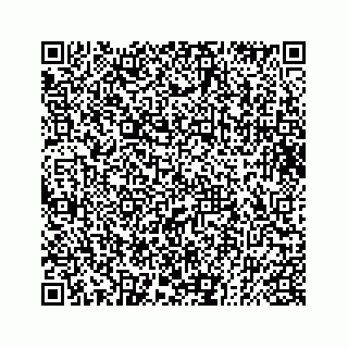 vCard 73832085241