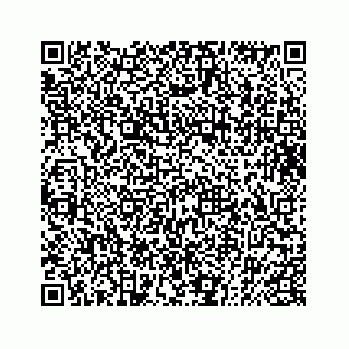 vCard 73832085281