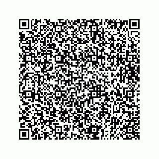 vCard 73832085289