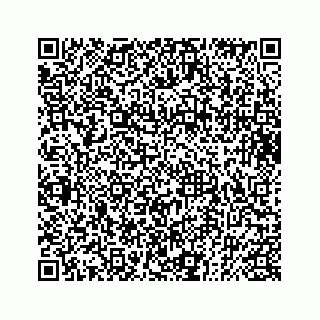 vCard 73832085293