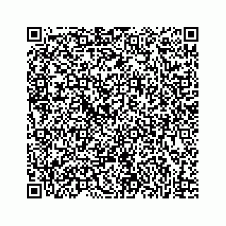 vCard 73832085294
