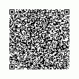 vCard 73832085300