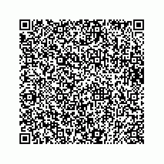 vCard 73832085302