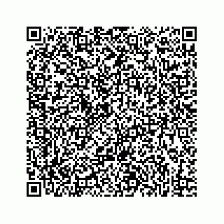 vCard 73832085303