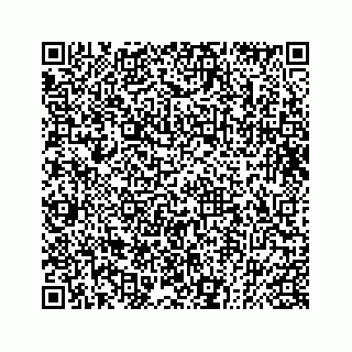 vCard 73832085308