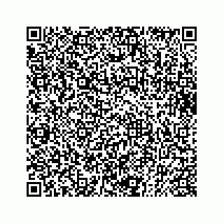 vCard 73832085313