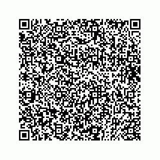 vCard 73832085318