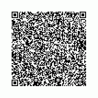 vCard 73832085321