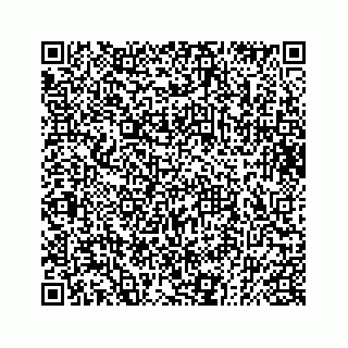 vCard 73832085322