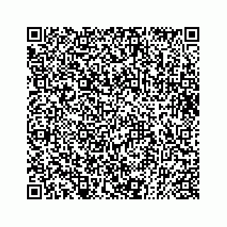 vCard 73832085329