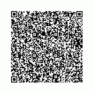vCard 73832085330