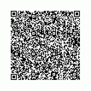 vCard 73832085331
