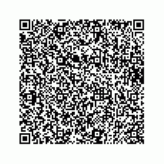 vCard 73832085333