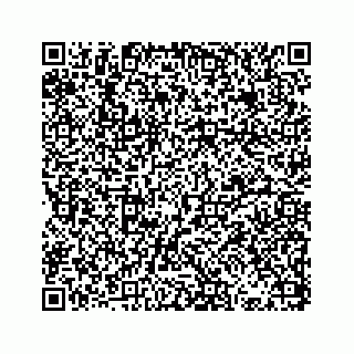 vCard 73832085334