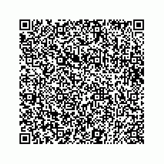vCard 73832085338