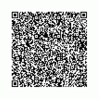 vCard 73832085339