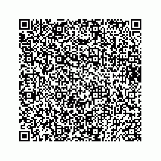 vCard 73832085343