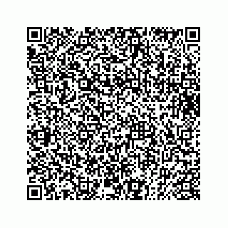 vCard 73832085357