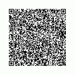 vCard 73832085358