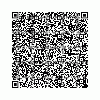 vCard 73832085374