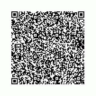 vCard 73832085381