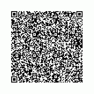 vCard 73832085382