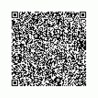 vCard 73832085383