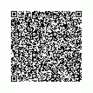vCard 73832085384
