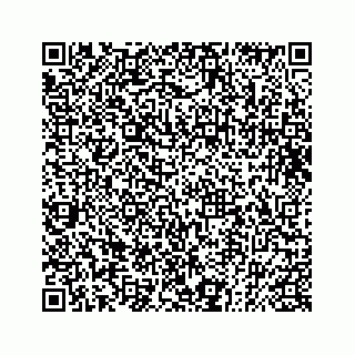 vCard 73832085388