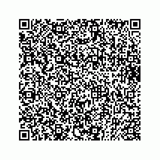 vCard 73832085393