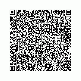 vCard 73832085398
