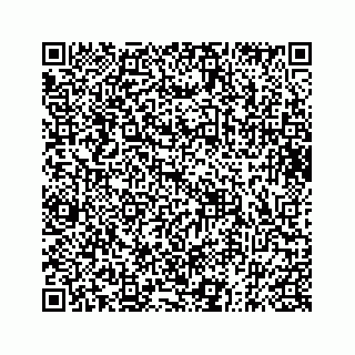 vCard 73832106273