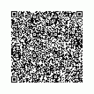 vCard 73832106981